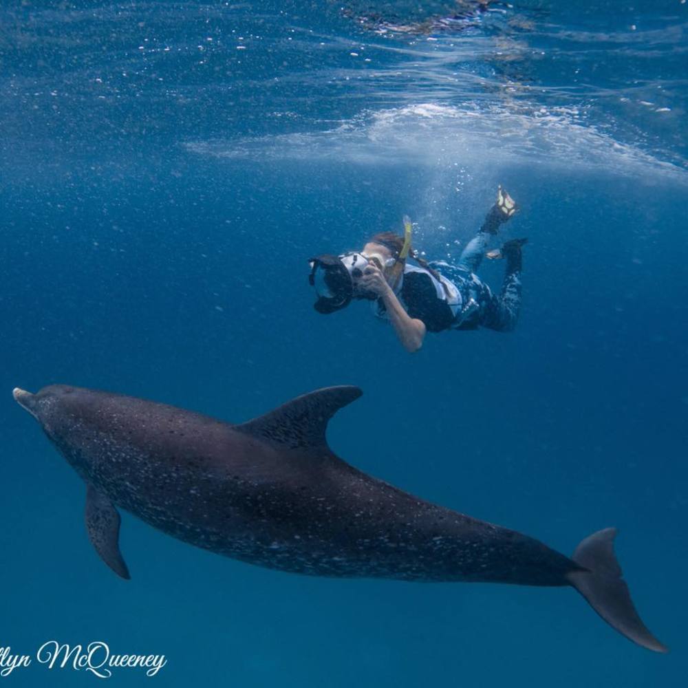 Meet your Posher, Andrea